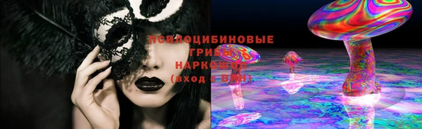 герыч Алексин