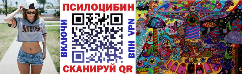 Галлюциногенные грибы Psilocybe Кизел